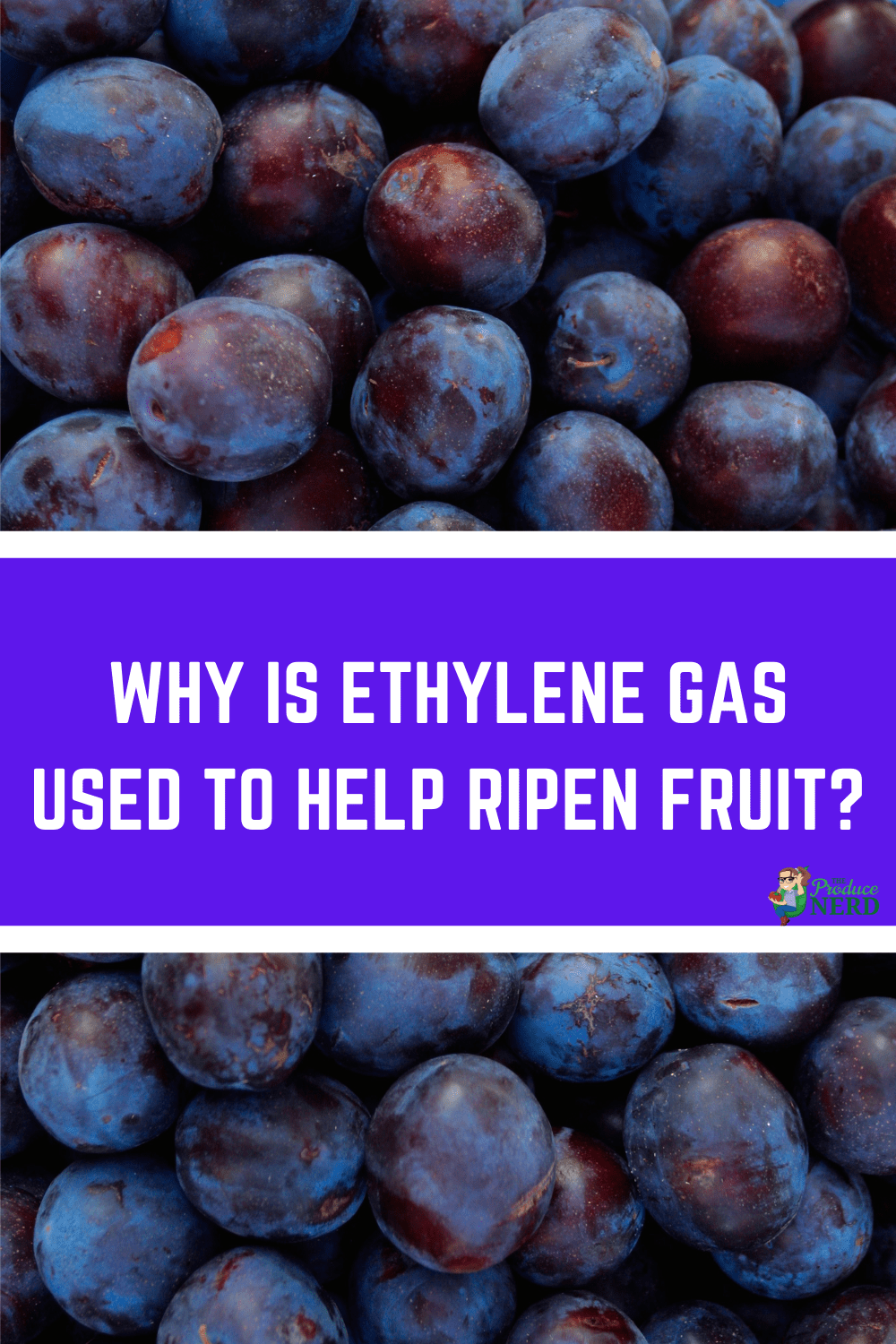 You are currently viewing What is Ethylene Gas & How is it Used?