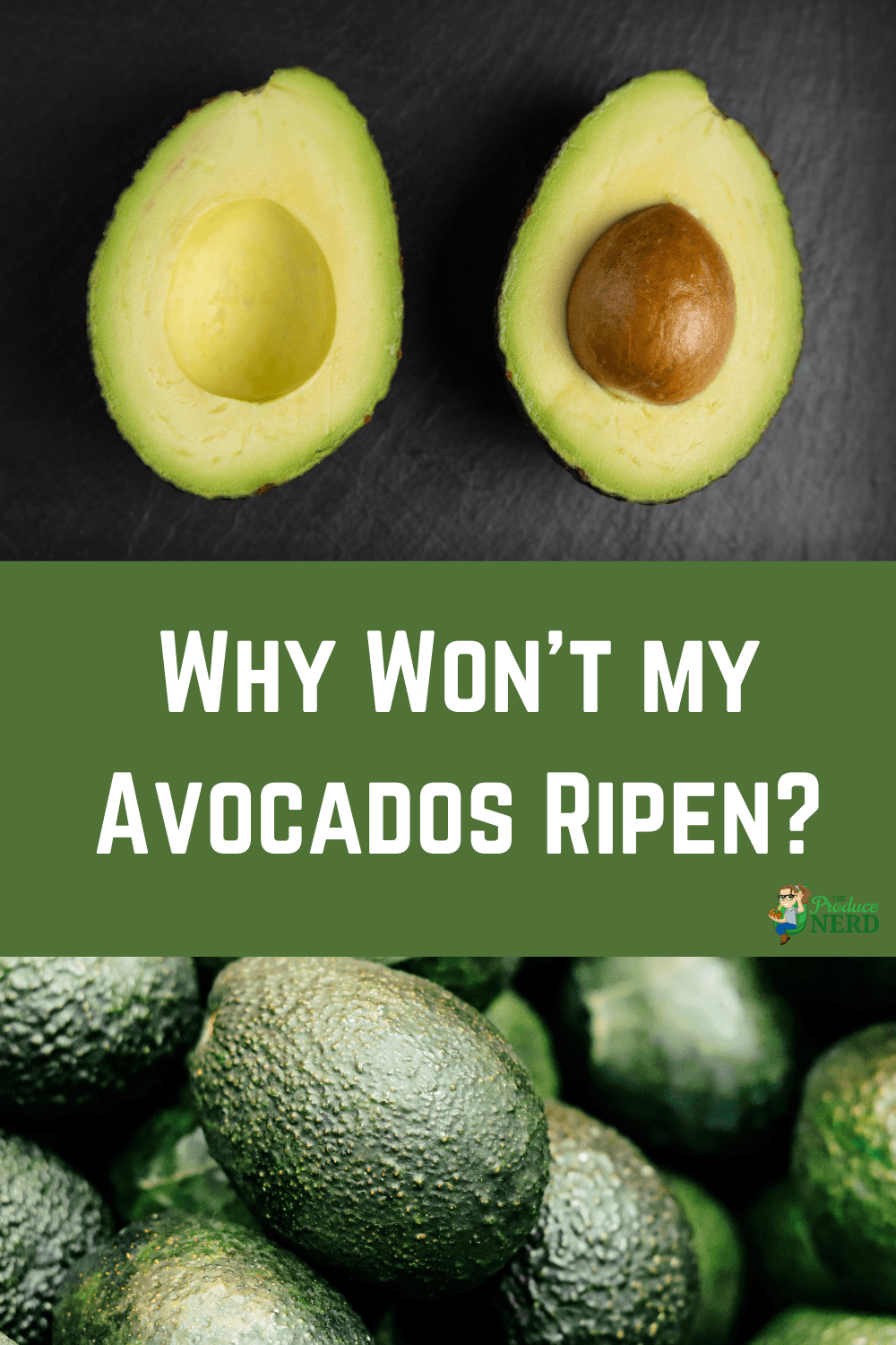 You are currently viewing Why Won’t My Avocados Ripen?