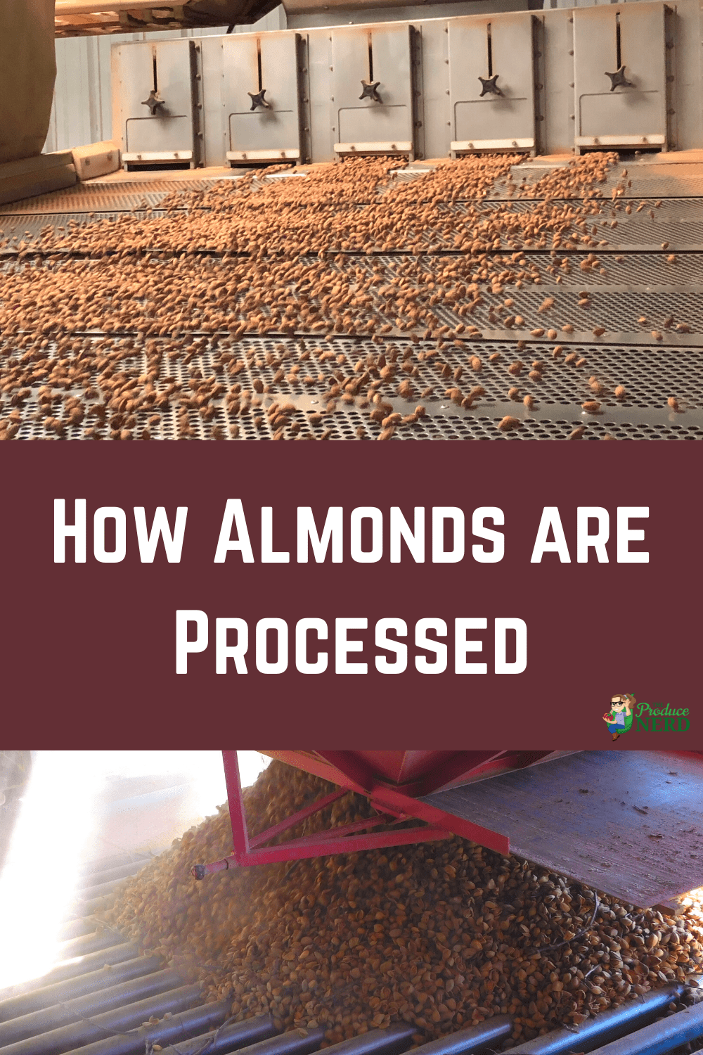 You are currently viewing Almond Processing: Pre-Cleaning, Hulling & Processing