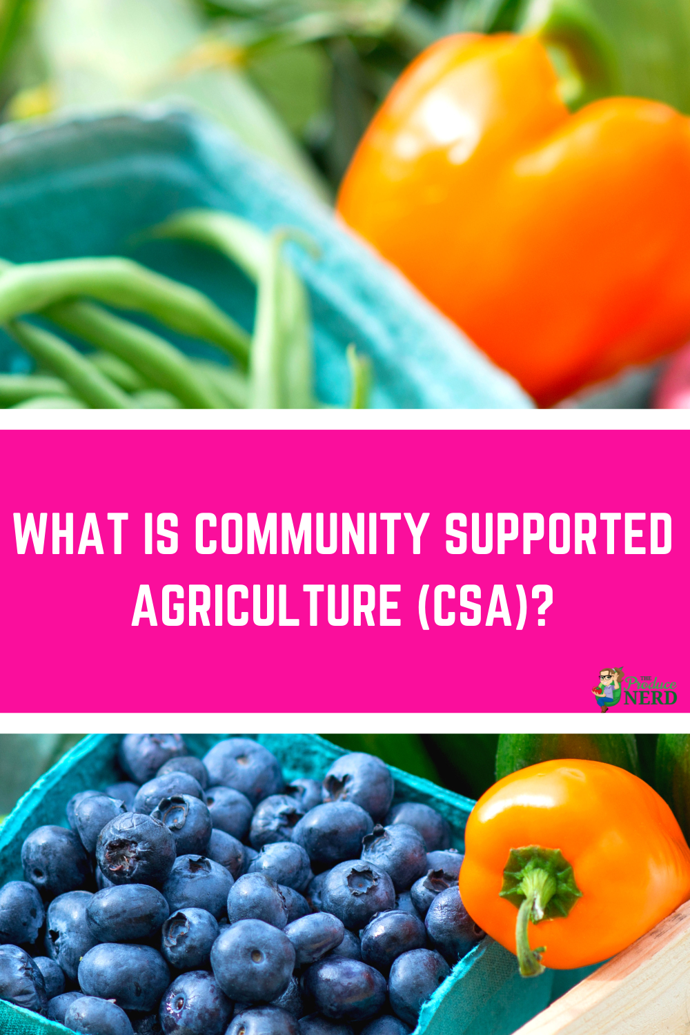 You are currently viewing What is Community Supported Agriculture (CSA) & My Experience Trying a CSA Box