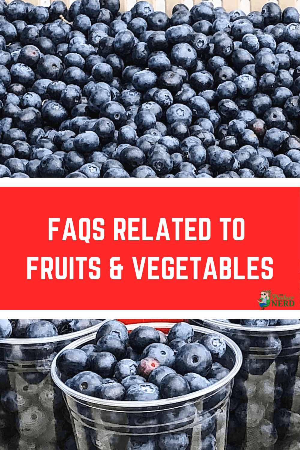 You are currently viewing Frequently Asked Questions about Fruits & Vegetables