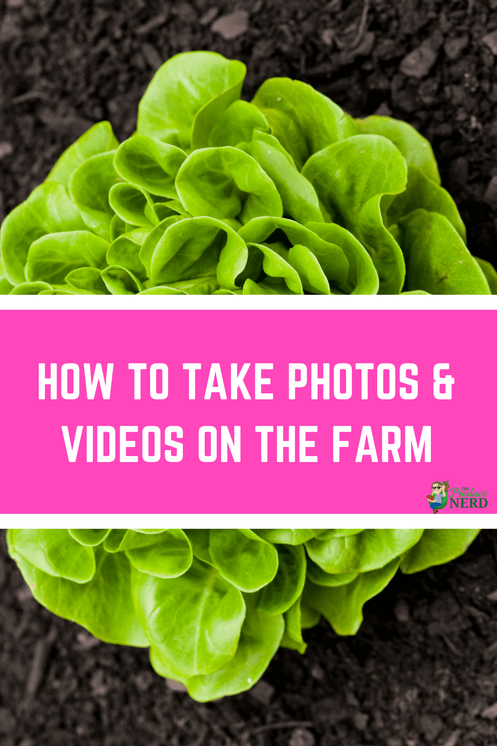 You are currently viewing How to Take Photos & Videos on the Farm