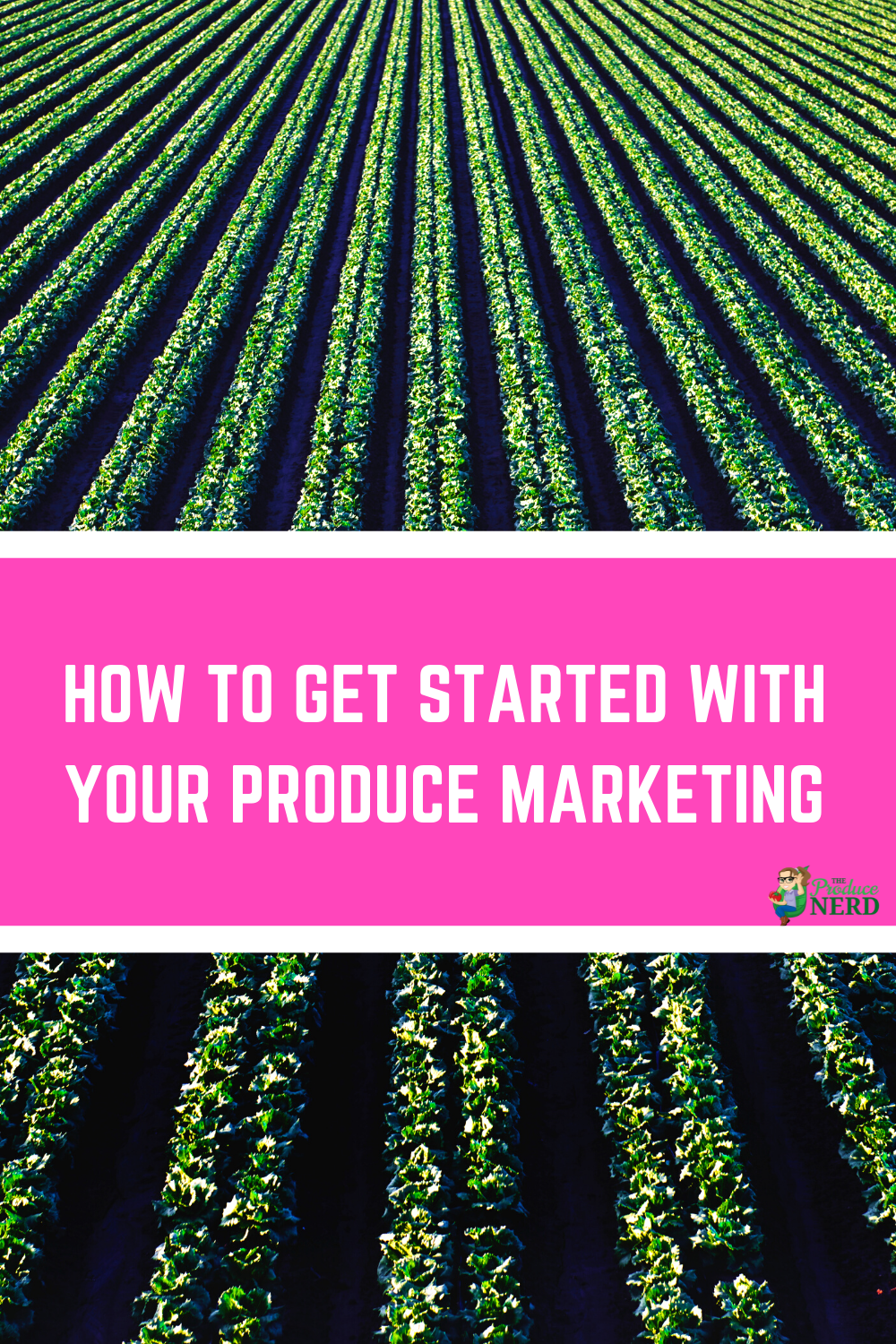 You are currently viewing How to Get Started with Your Produce Marketing Efforts