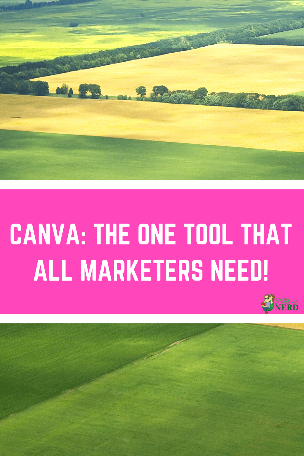 You are currently viewing Canva: The One Tool That All Marketers & Creators Need!