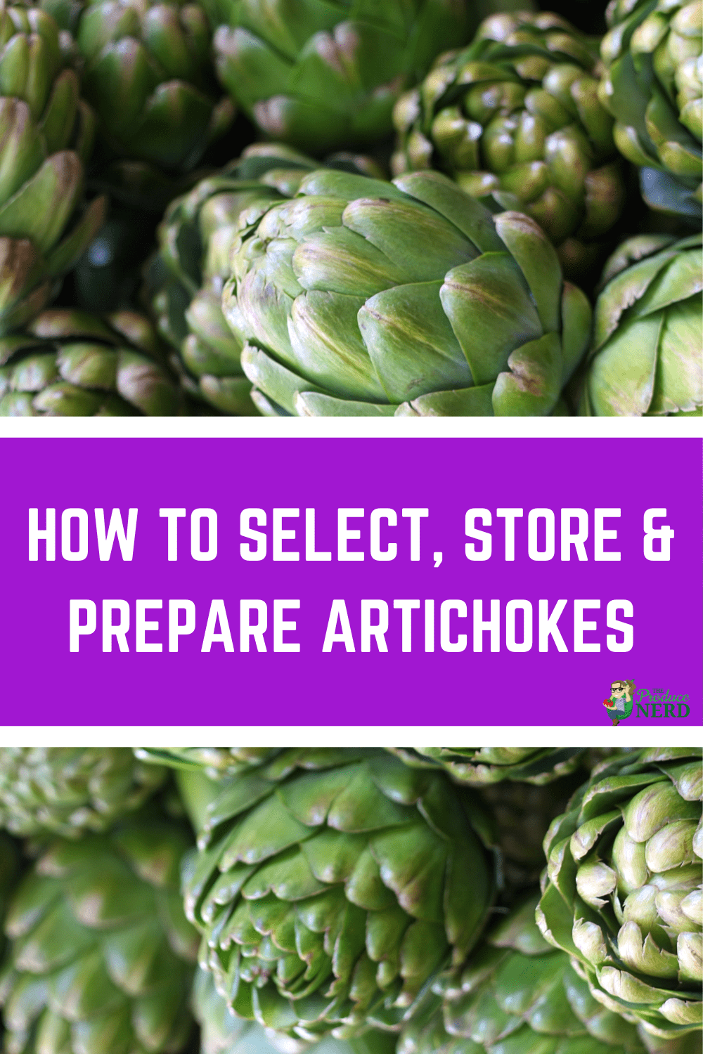 You are currently viewing How to Select, Store & Prepare Artichokes