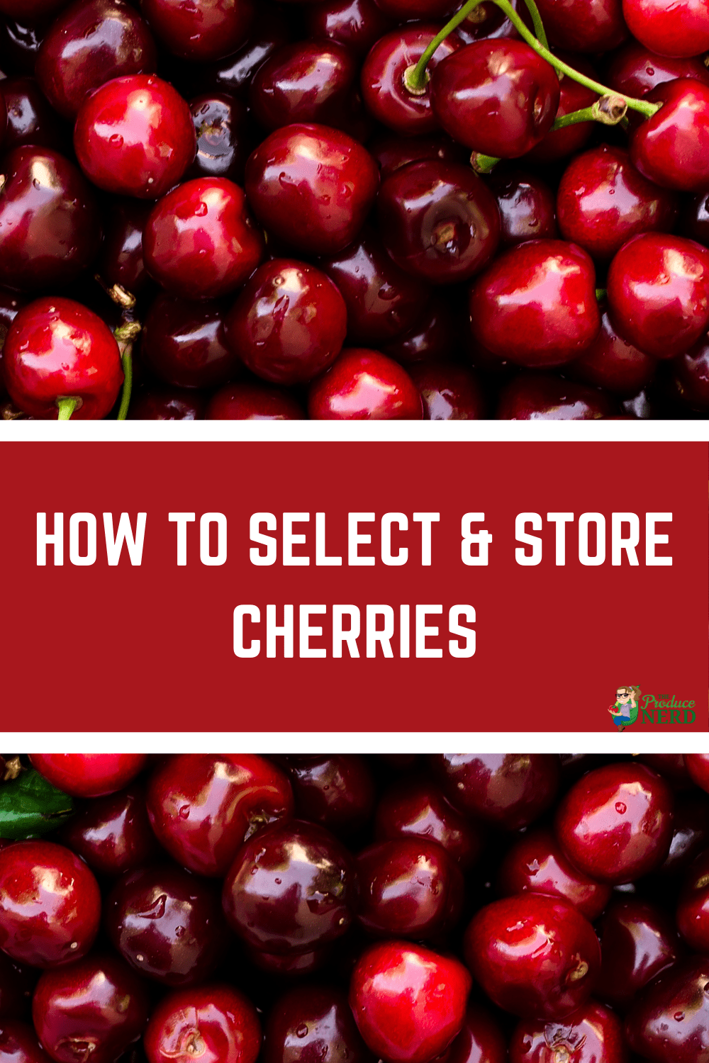 You are currently viewing How to Select & Store Cherries