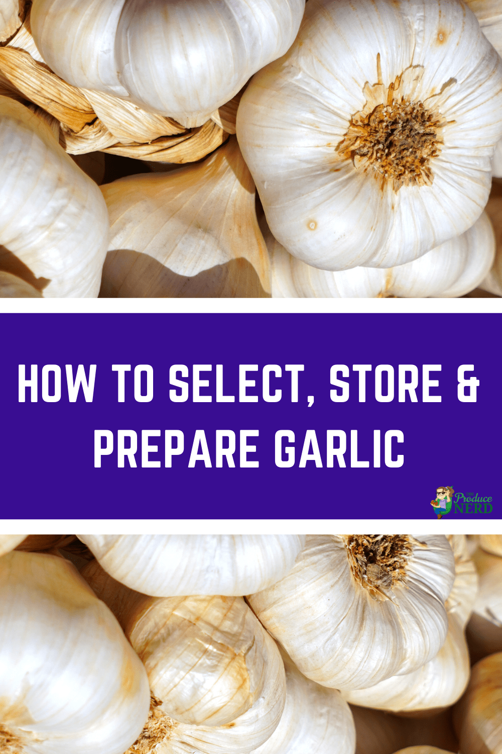 You are currently viewing How to Select, Store & Prepare Garlic