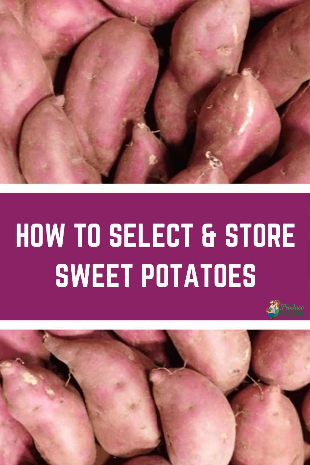 You are currently viewing How to Select & Store Sweet Potatoes