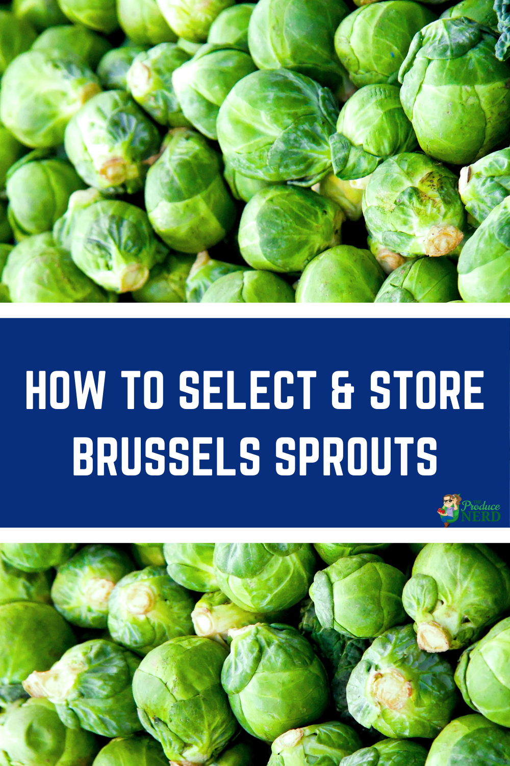 You are currently viewing How to Select & Store Brussels Sprouts