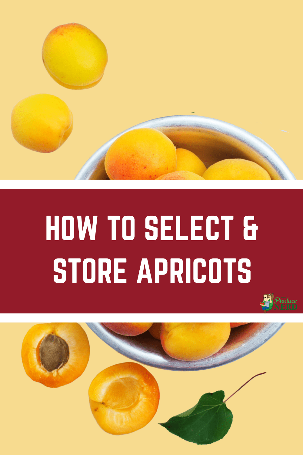 You are currently viewing How to Select and Store Apricots