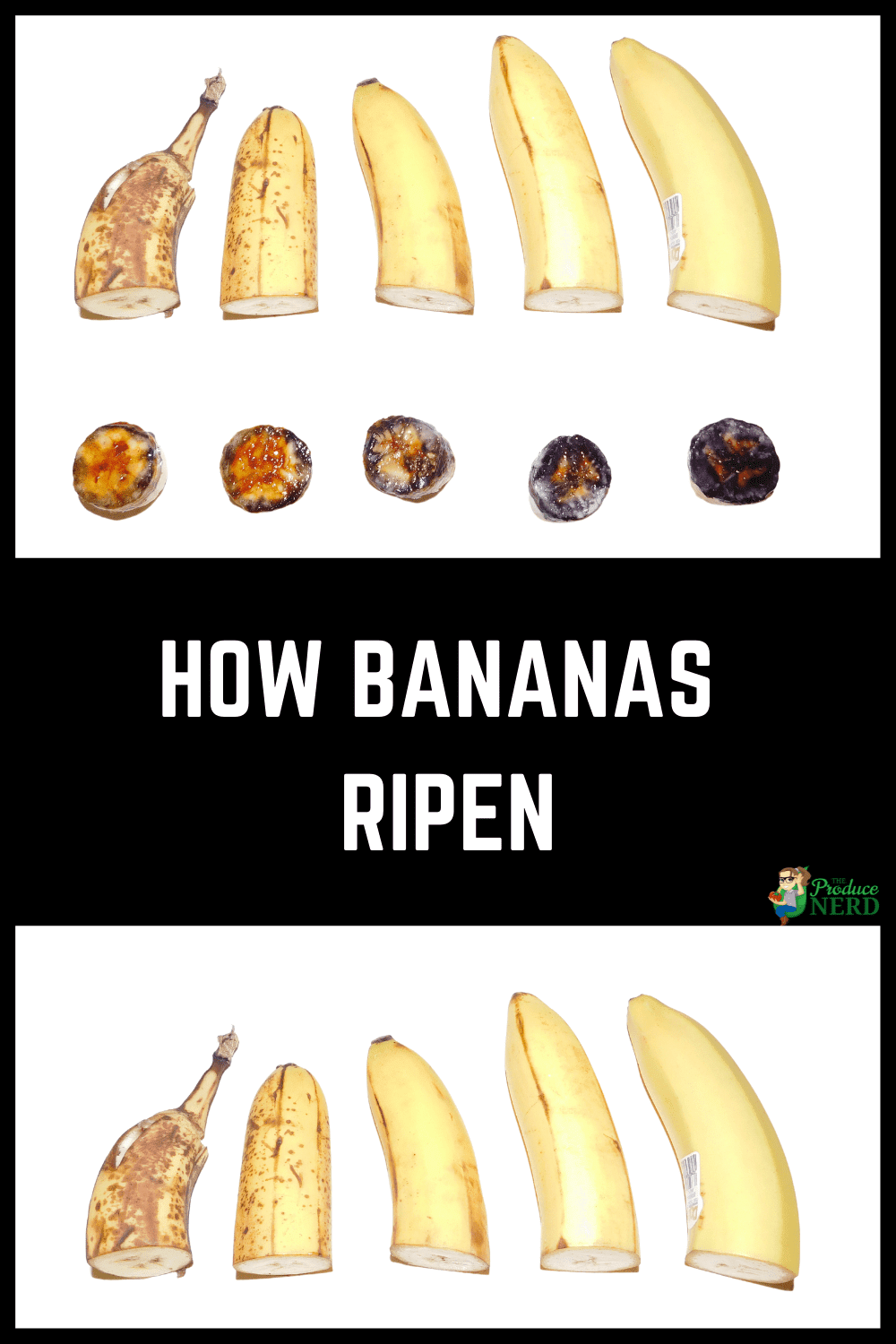 You are currently viewing What Banana Is Right For You: The Banana Ripening Process
