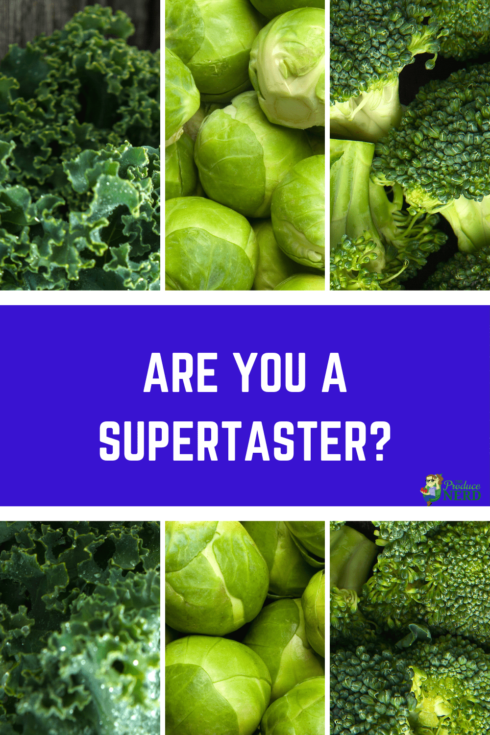 You are currently viewing Are You A Supertaster?