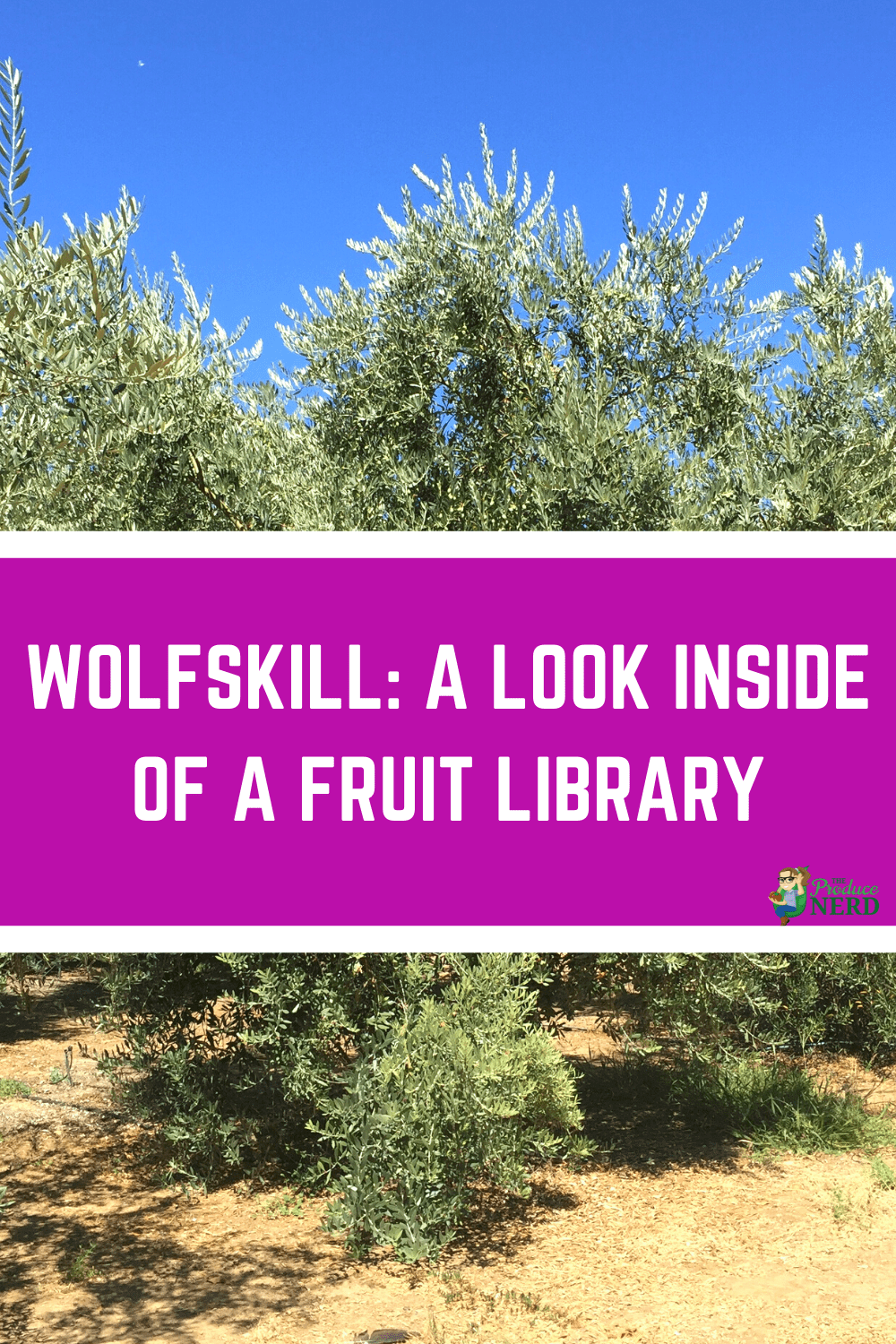 You are currently viewing Wolfskill: A Fruit Lover’s Dream!