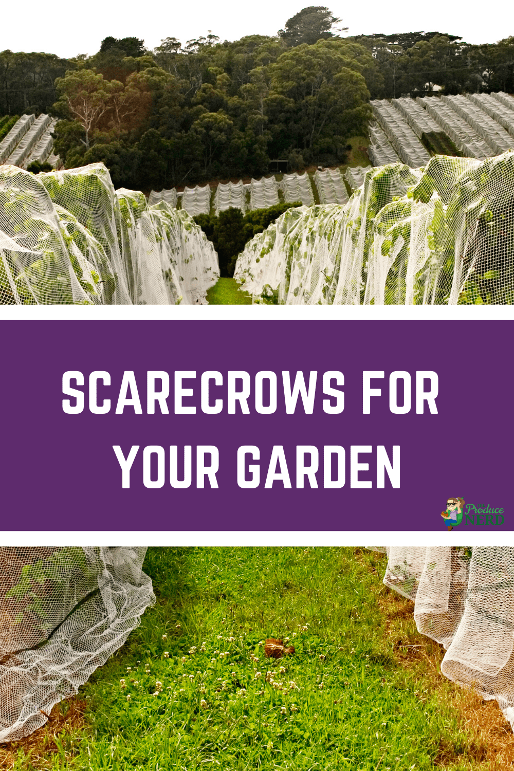 You are currently viewing Modern Day Scarecrows: Scarecrows for Your Garden