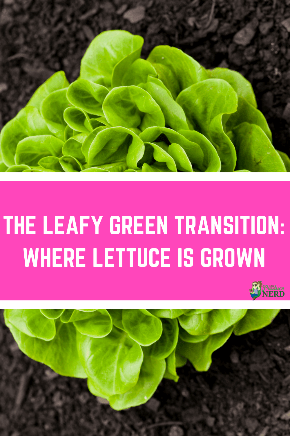 You are currently viewing The Leafy Green “Transition”
