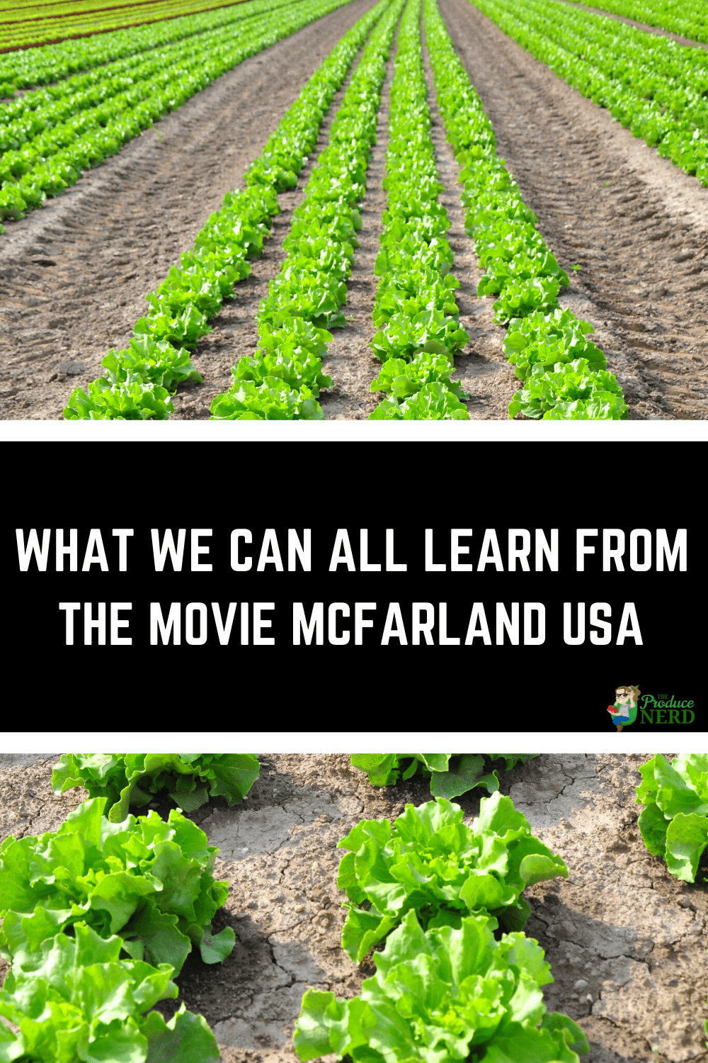 You are currently viewing What We Can All Learn From the Movie McFarland USA