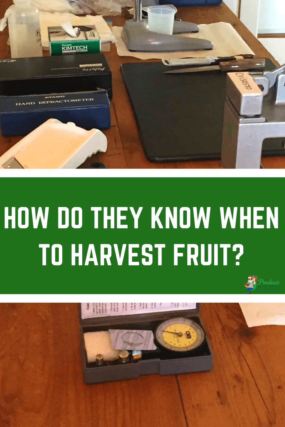 You are currently viewing Maturity Indices: How to Know When to Harvest Fruit?