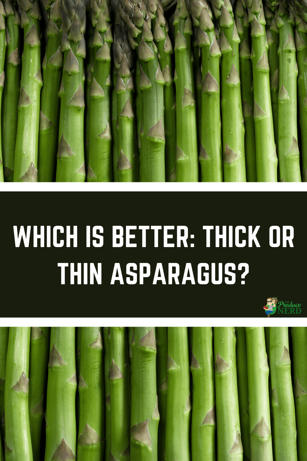You are currently viewing Which is Better: Thick or Thin Asparagus?