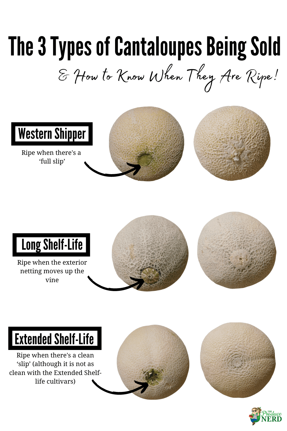 You are currently viewing How to Select a Ripe Cantaloupe Every Time!