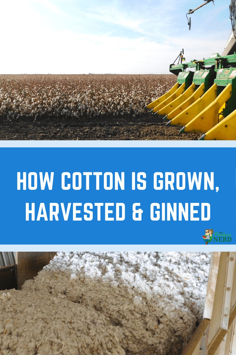 You are currently viewing How is Cotton Grown, Harvested & Ginned in California