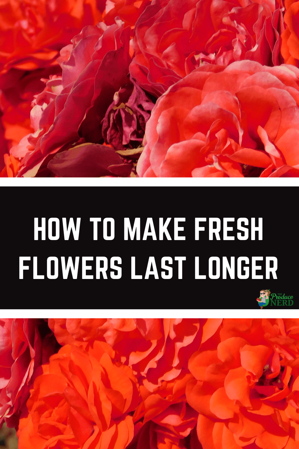 You are currently viewing How to Make Flowers Last Longer