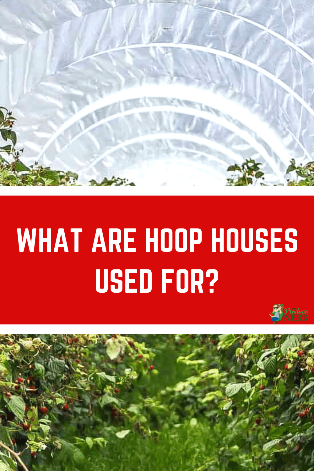You are currently viewing What are Hoop Houses Used for?