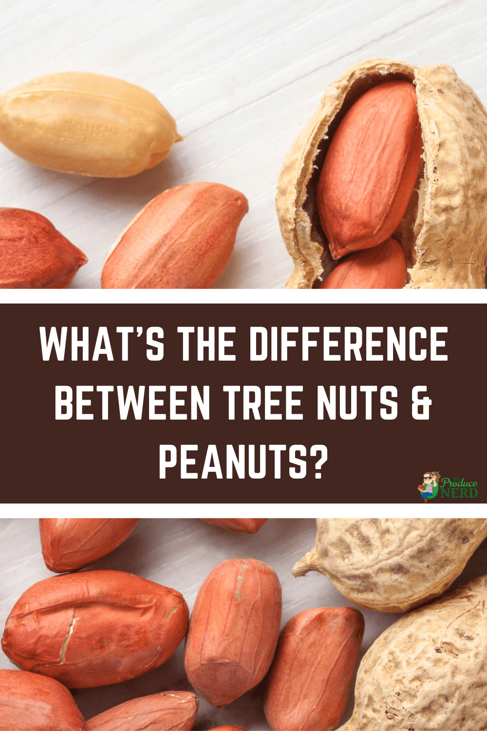 You are currently viewing What’s the Difference Between Tree Nuts and Peanuts?