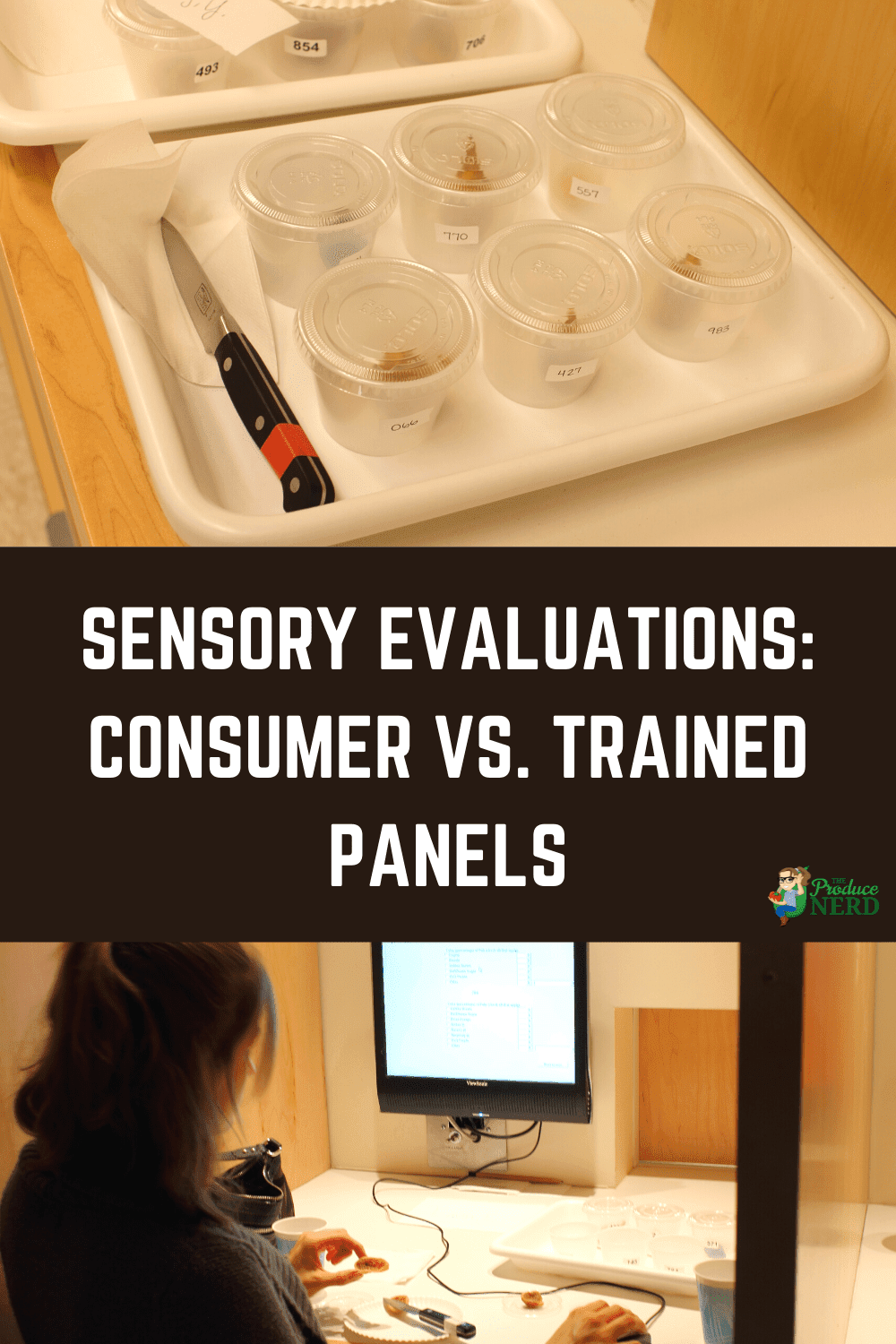 You are currently viewing Sensory Evaluations: Consumer Panel vs. Trained Panel