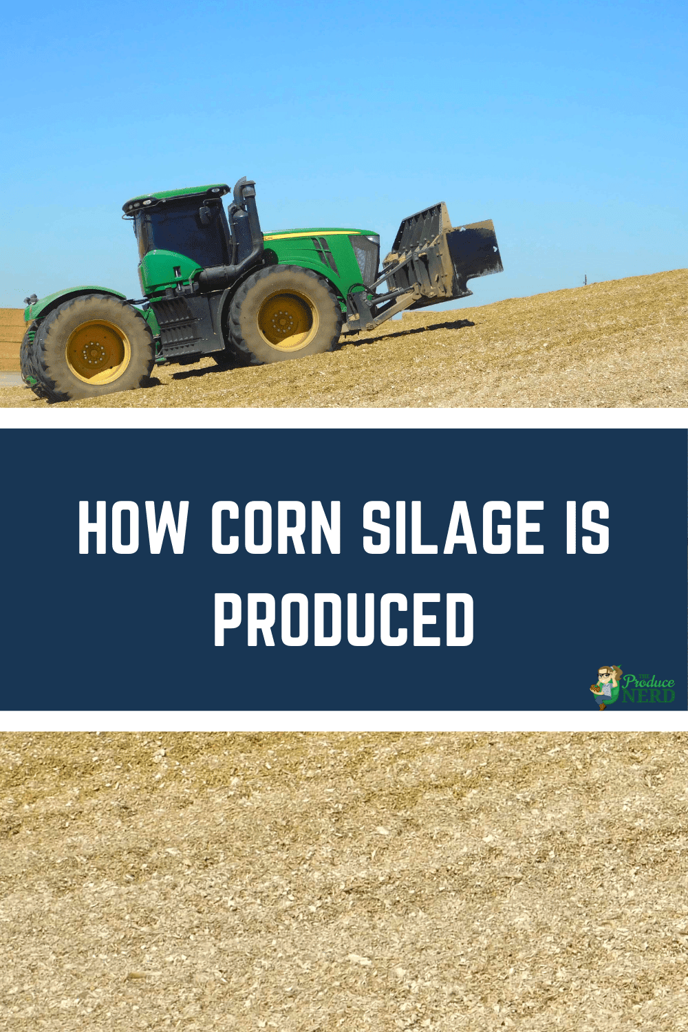 You are currently viewing Corn Silage Production