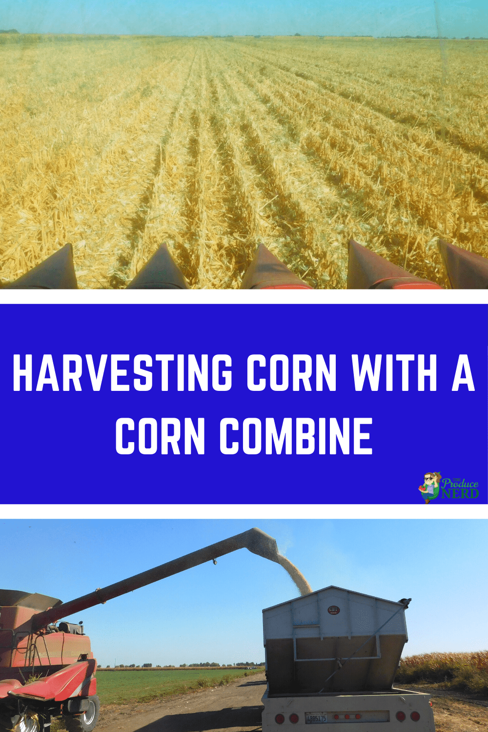 You are currently viewing Harvesting Corn Using a Corn Combine