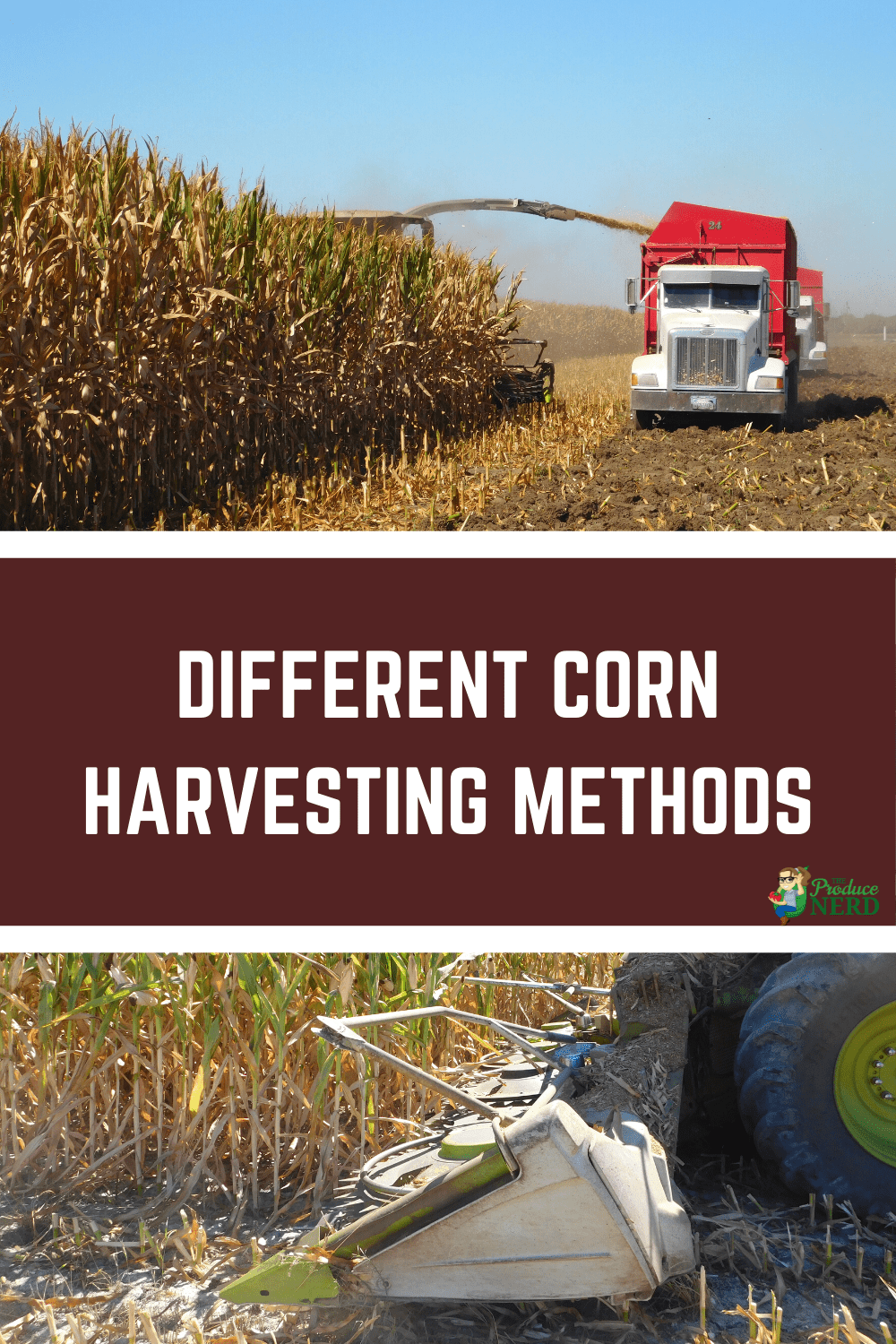 You are currently viewing Corn Harvesting for Fresh Corn, Processing Corn & Corn Silage