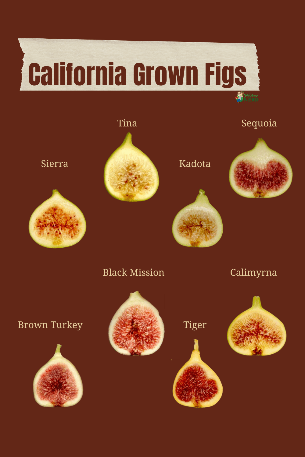 You are currently viewing California Figs: Fig Cultivars Grown Commercially