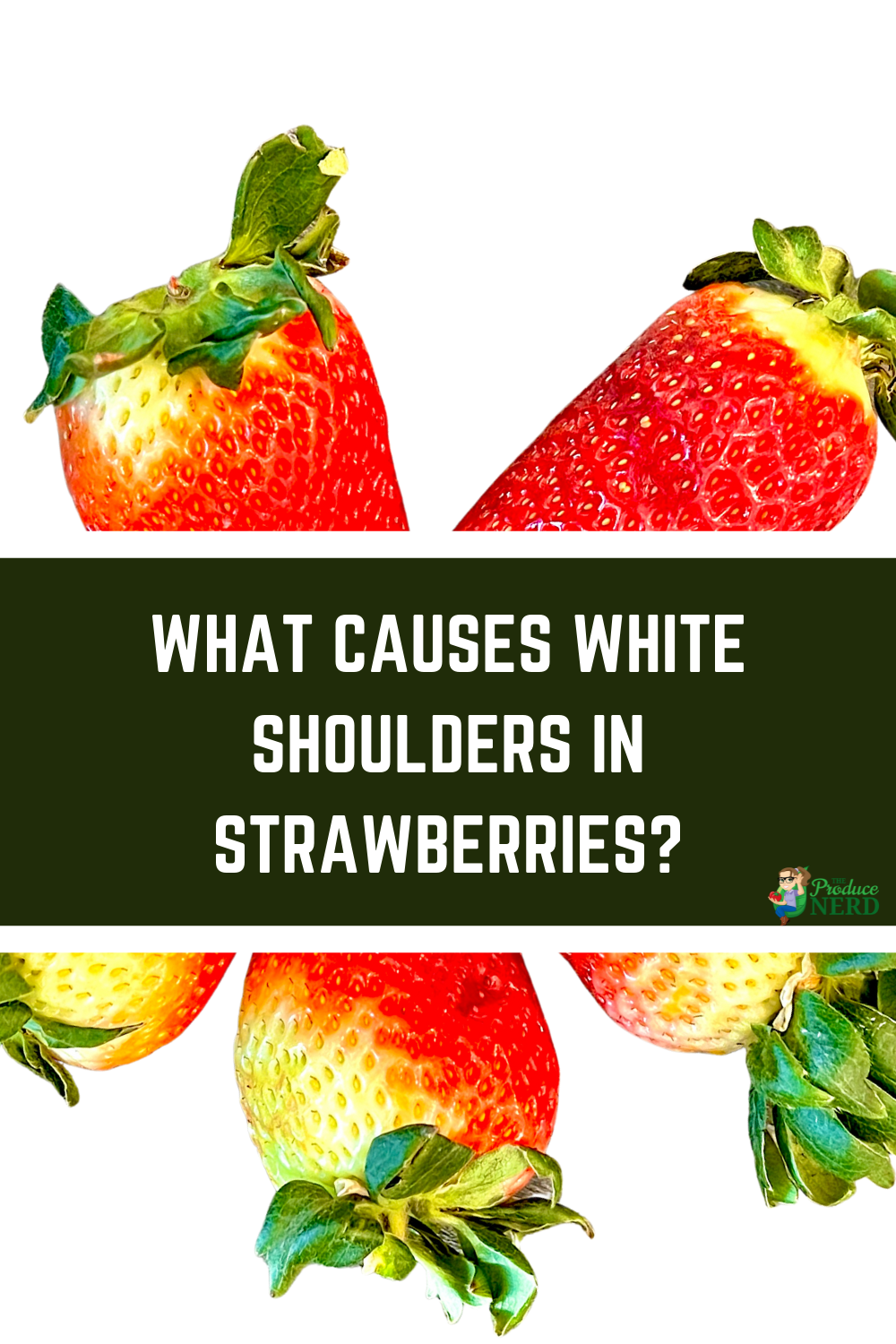You are currently viewing What Causes White Shoulders in Strawberries?