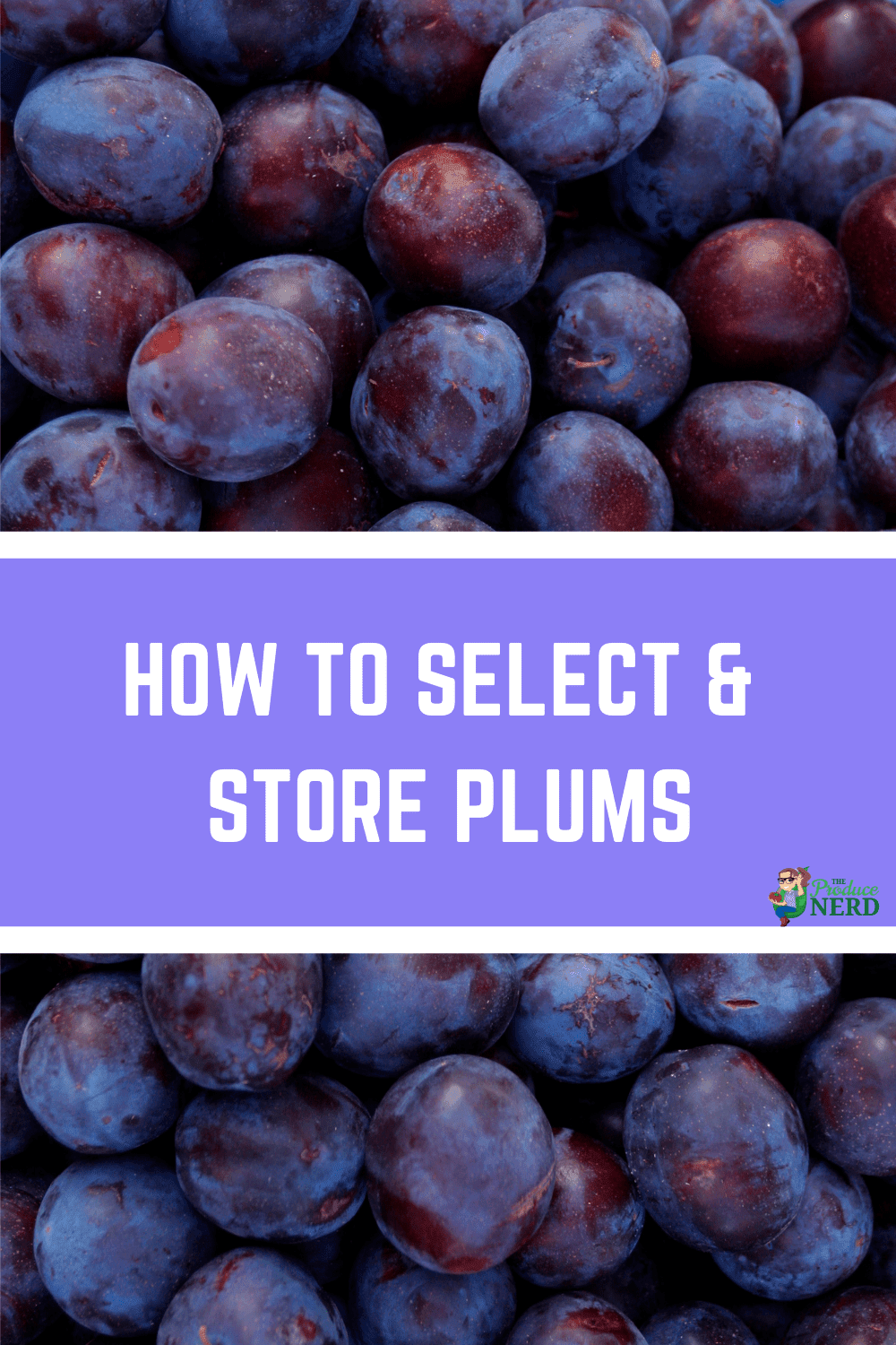 You are currently viewing How to Select & Store Plums