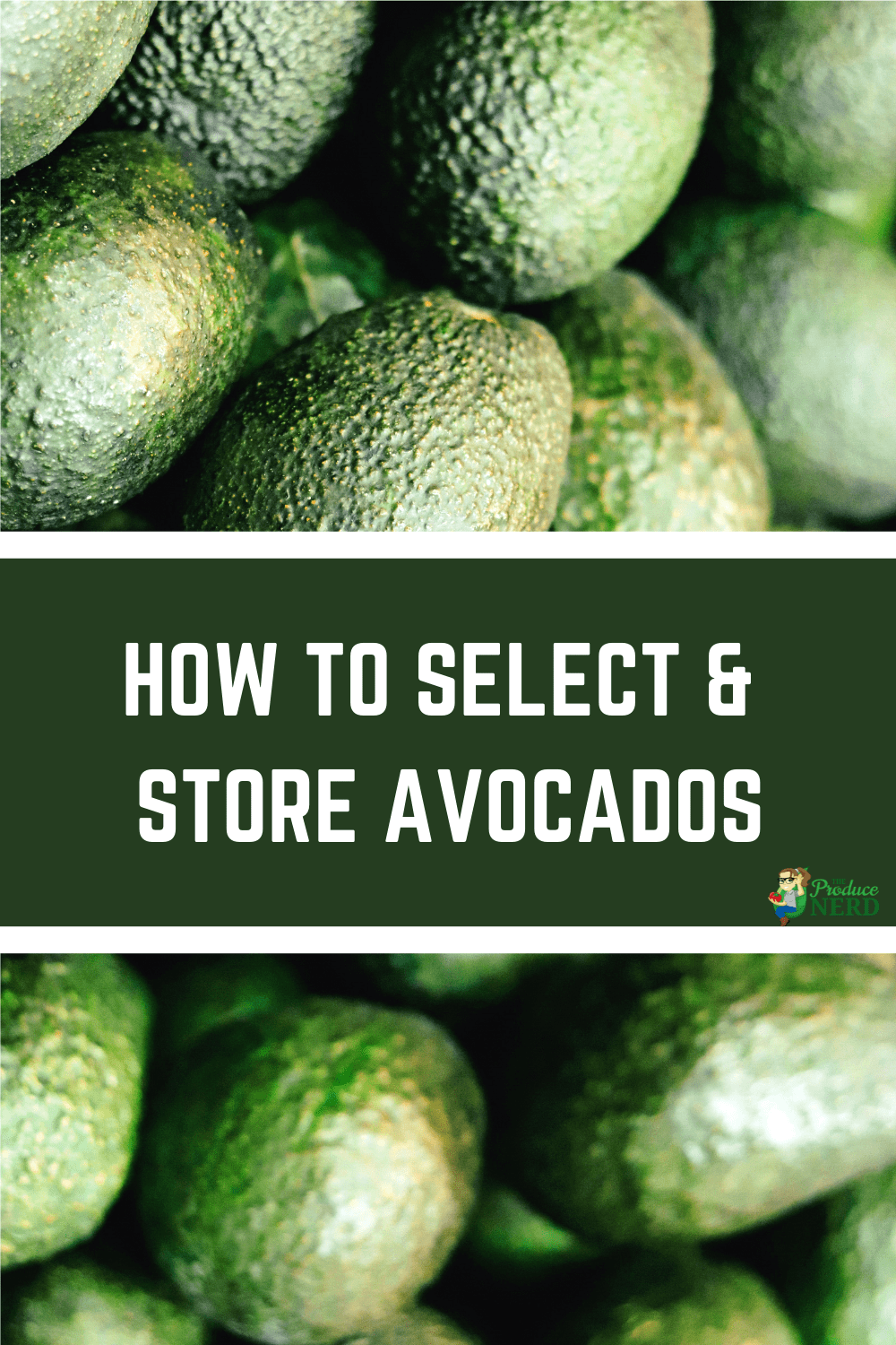 You are currently viewing How to Select & Store Avocados