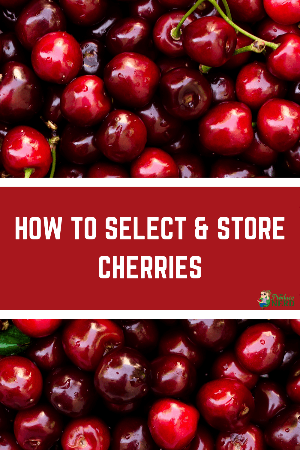 You are currently viewing How to Select & Store Cherries