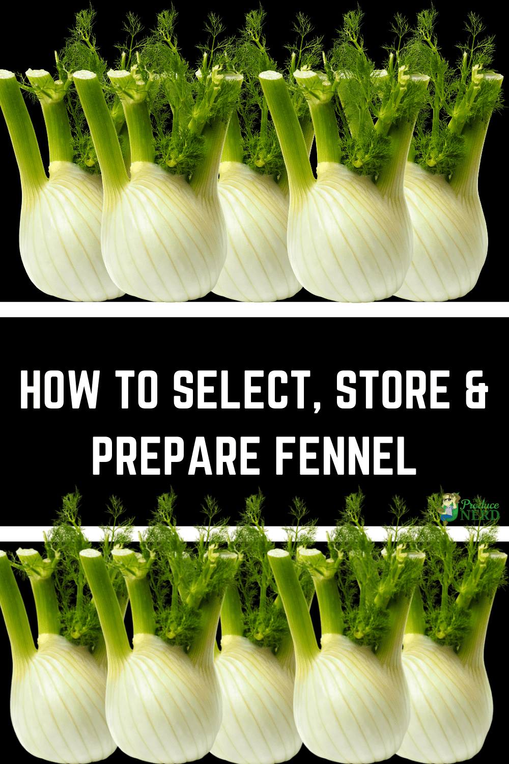 You are currently viewing How to Select, Store & Prepare Fennel