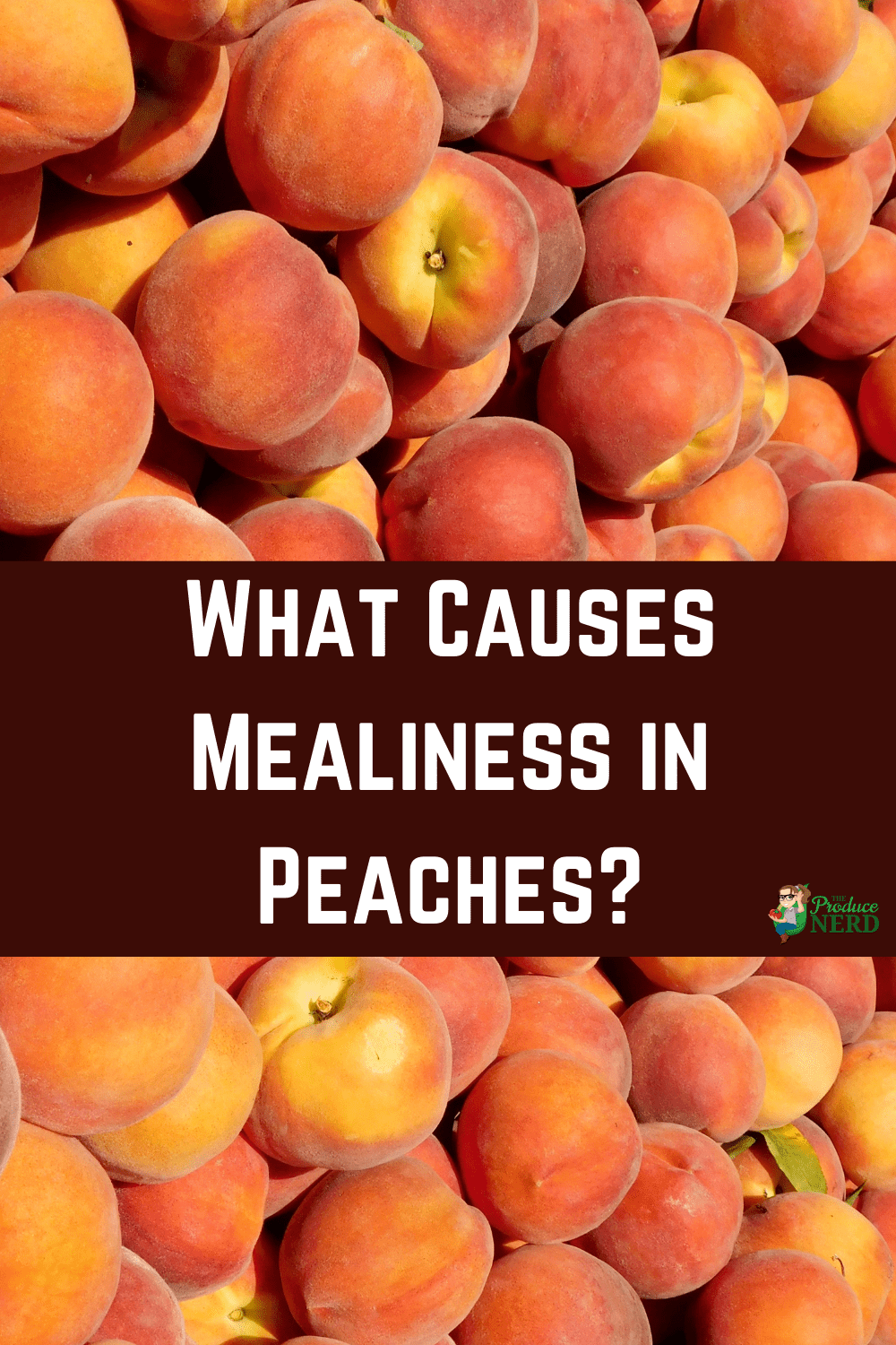 You are currently viewing What Causes Mealy Peaches?