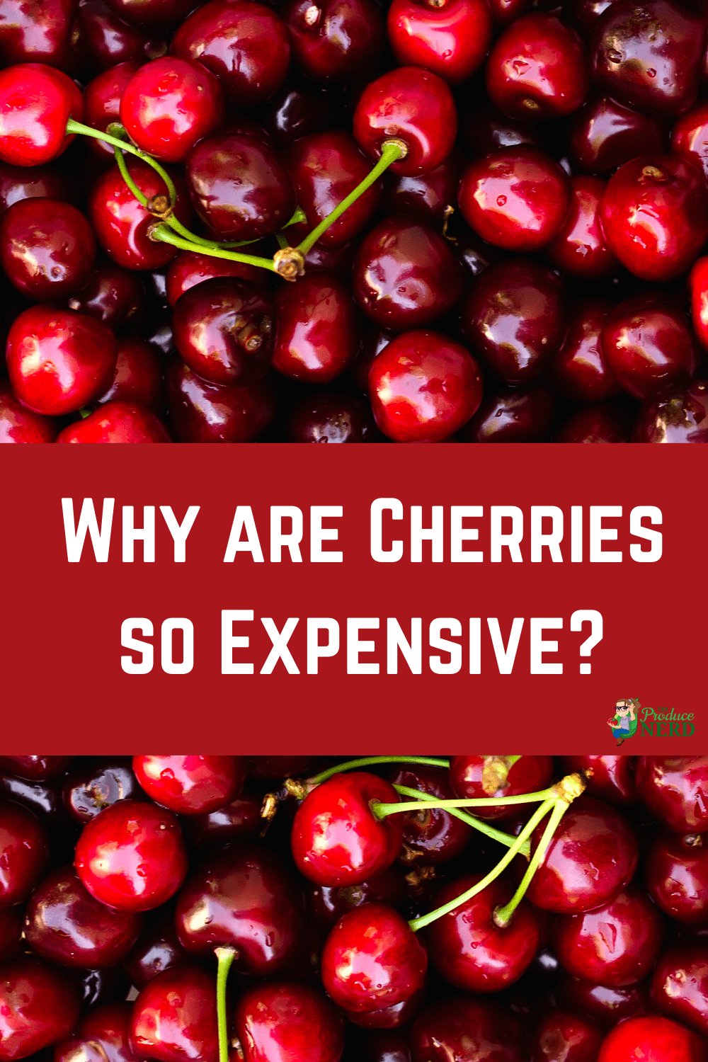 You are currently viewing Why Are Cherries So Expensive?