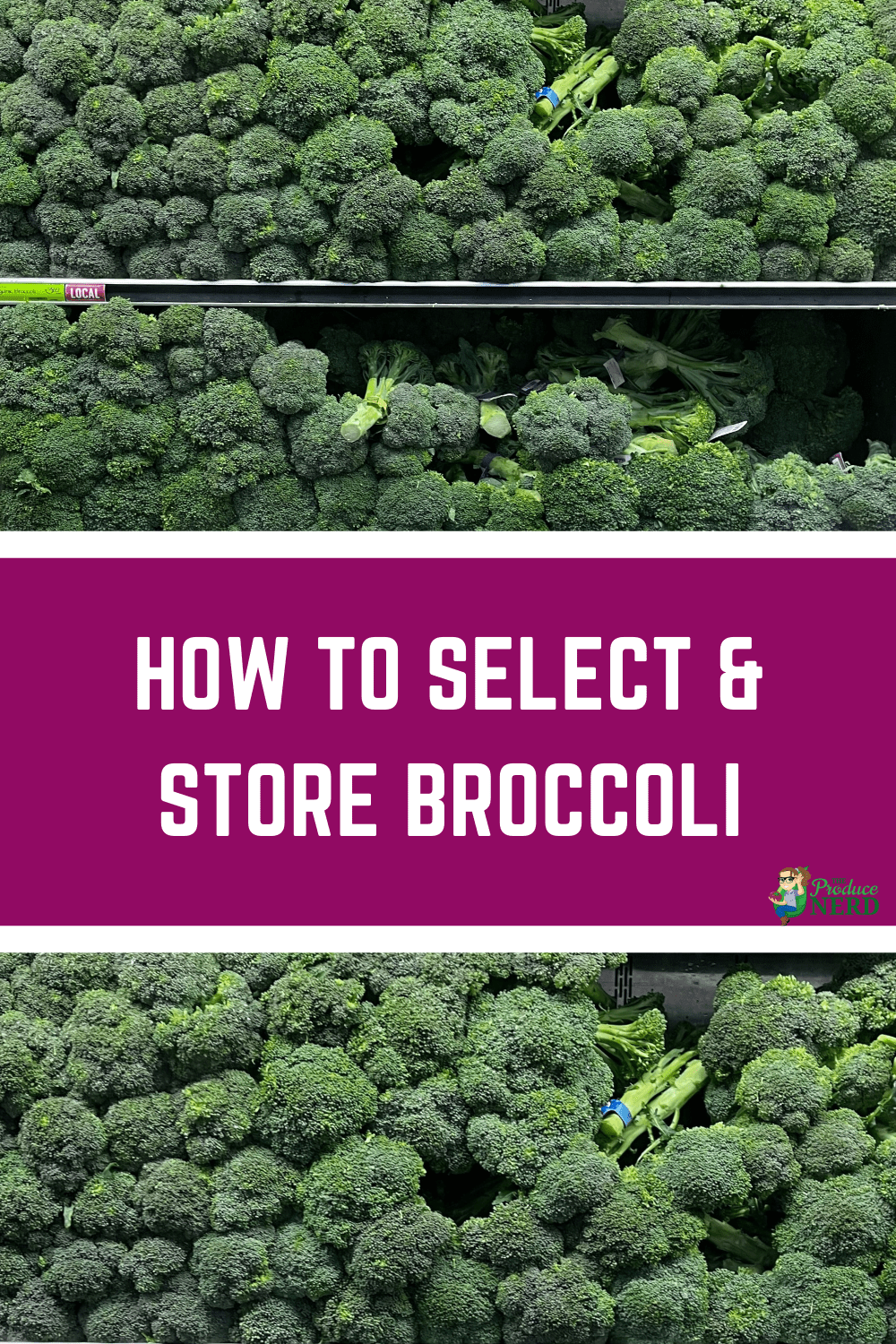 Read more about the article How to Select & Store Broccoli
