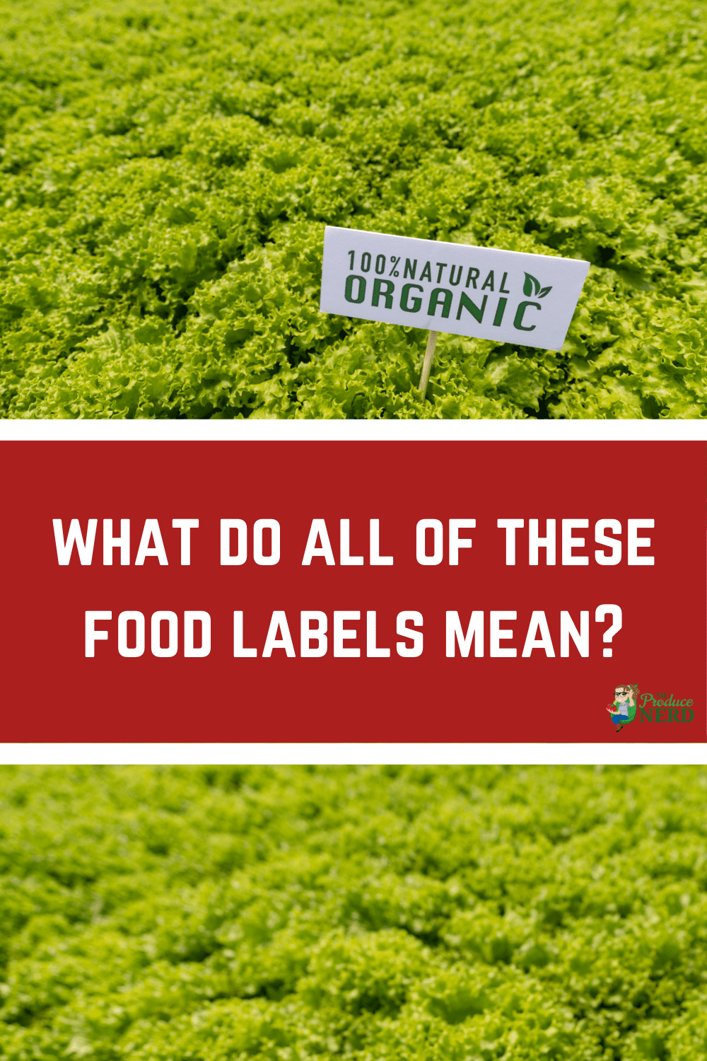 You are currently viewing How to Understand Food Labels: Conventional, Organic,  Sustainable, Natural & GMOs