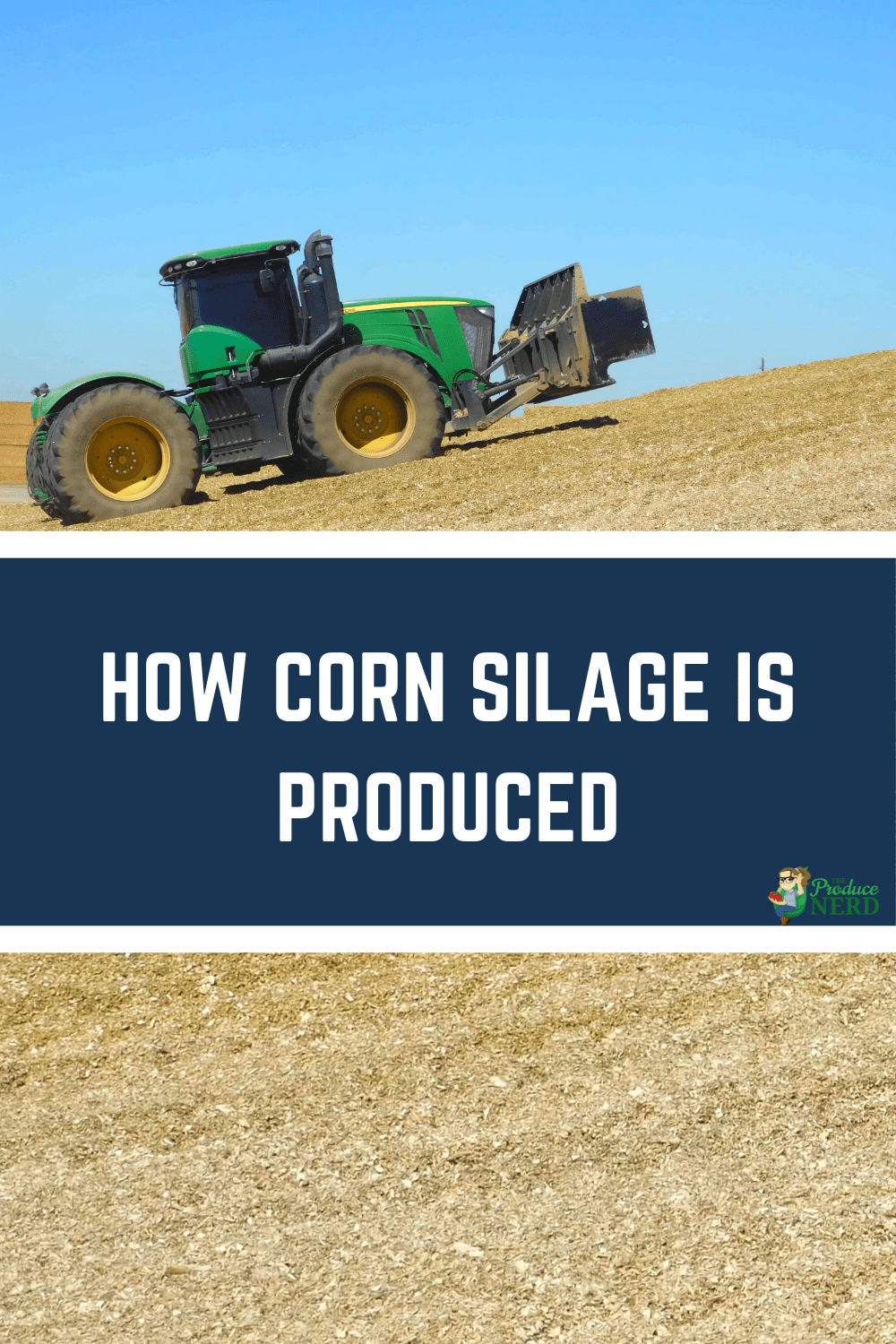 You are currently viewing Corn Silage Production