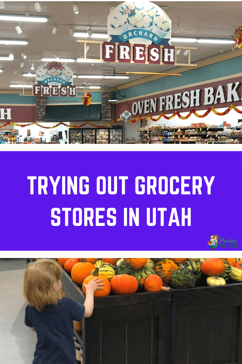 You are currently viewing Trying Out Grocery Stores in Utah