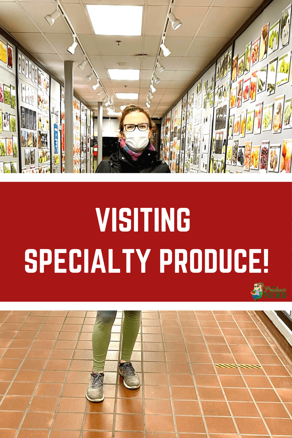 You are currently viewing Visiting Specialty Produce!