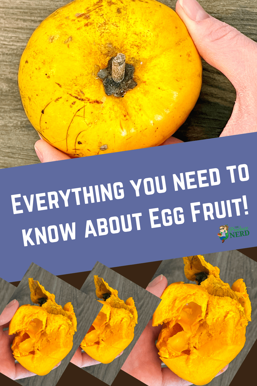 You are currently viewing Egg Fruit (Canistel): What Does it Taste Like, When is it Ripe & More!