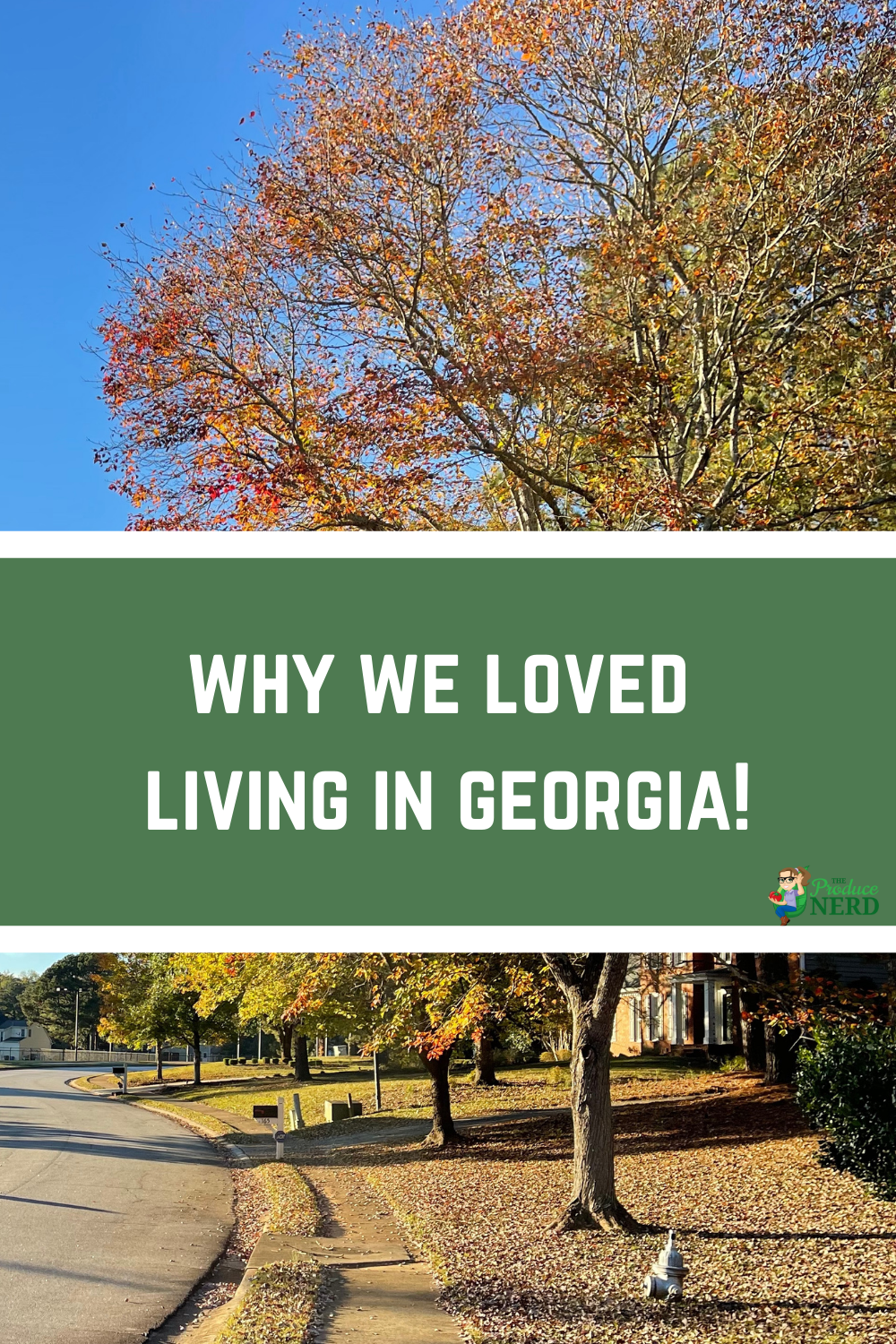 You are currently viewing I Moved to Georgia from California. Here’s 13 Reasons Why I Love Living in Georgia.