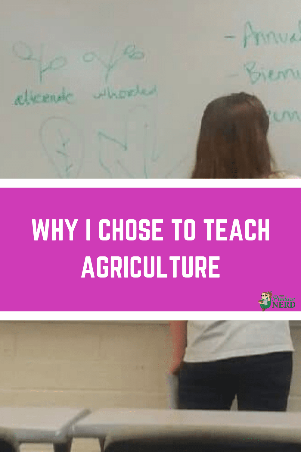 You are currently viewing Why I Chose to Teach: Teaching Agriculture at the Community College Level