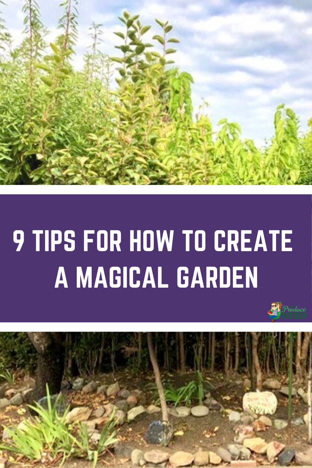 You are currently viewing Garden Inspiration: The Journey to Creating a Magical Garden