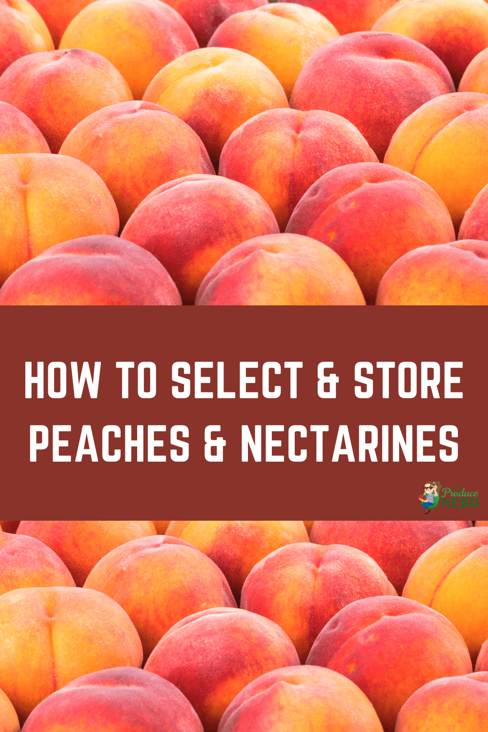 You are currently viewing How to Select & Store Peaches & Nectarines