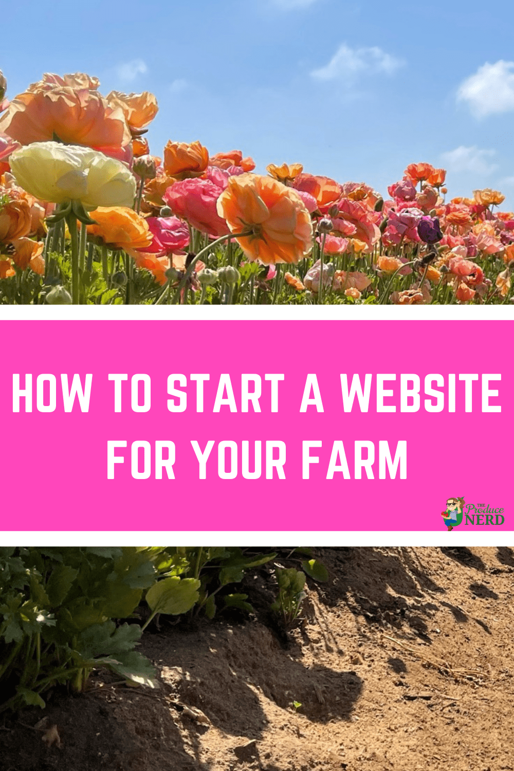 You are currently viewing How to Start a Website for Your Farm